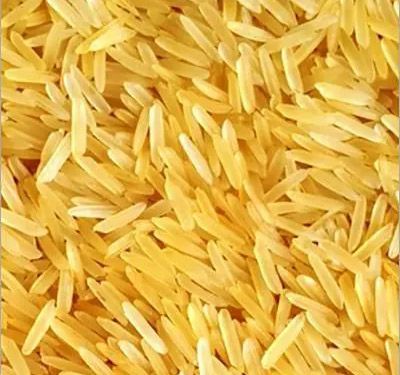 Golden Rice