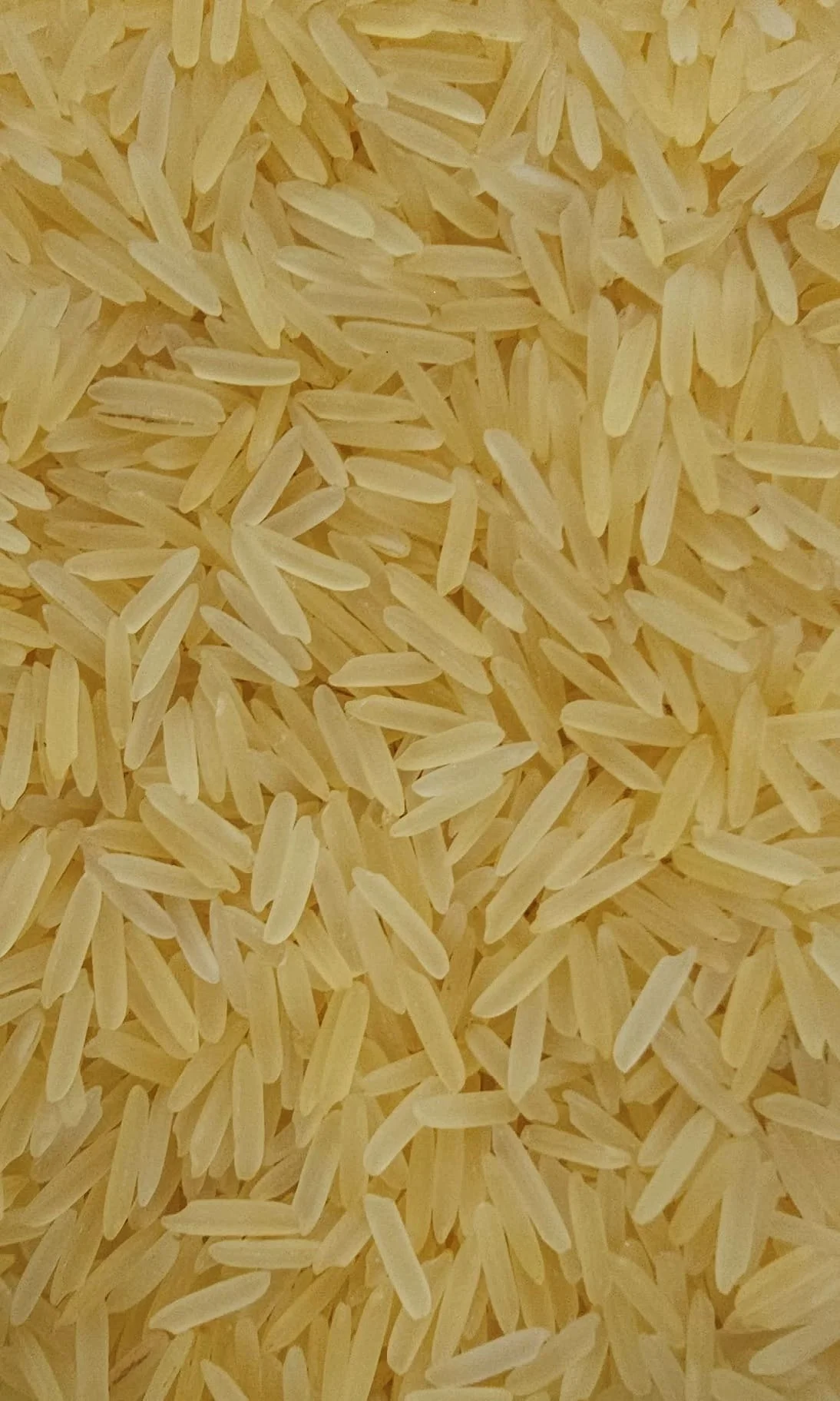 Golden Basmati Rice
